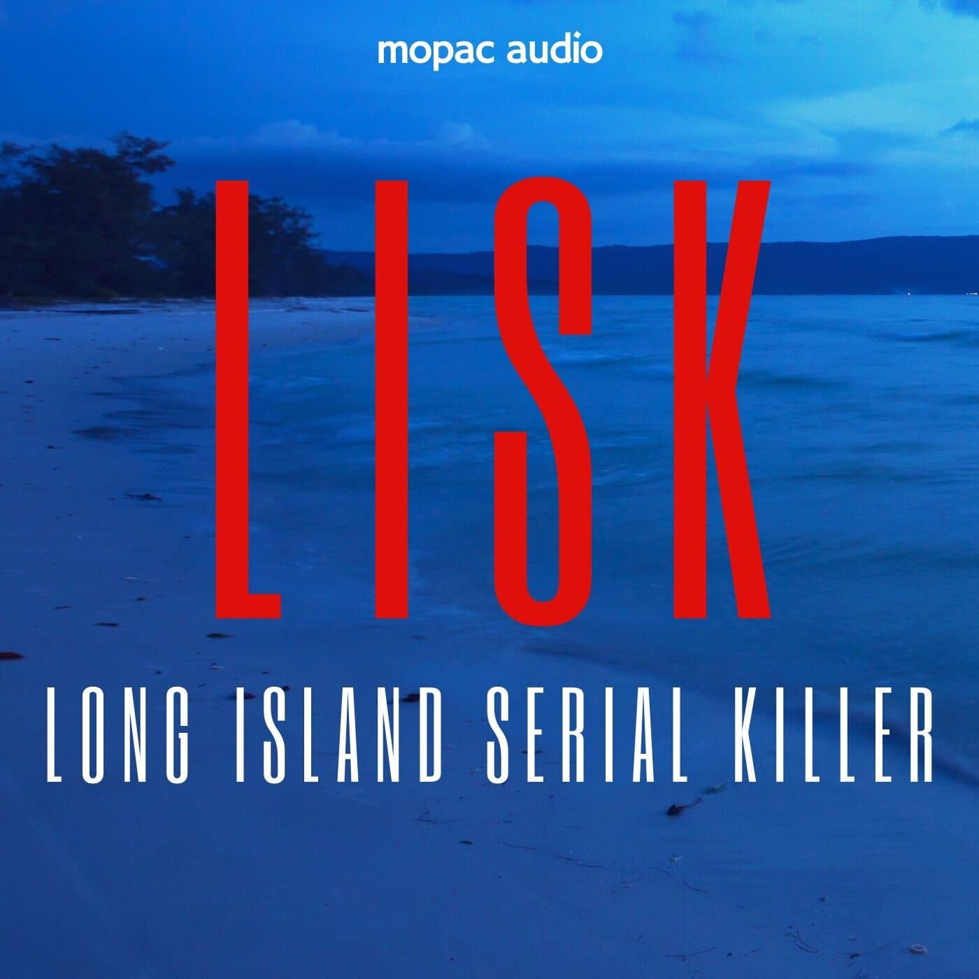LISK: Long Island Serial Killer icon